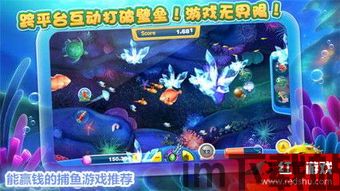 易来服务端极速版软件下载2024官方 